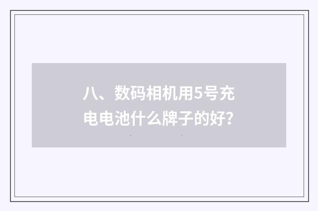 八、数码相机用5号充电电池什么牌子的好?