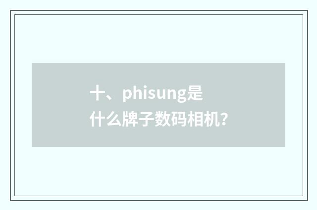 十、phisung是什么牌子数码相机?