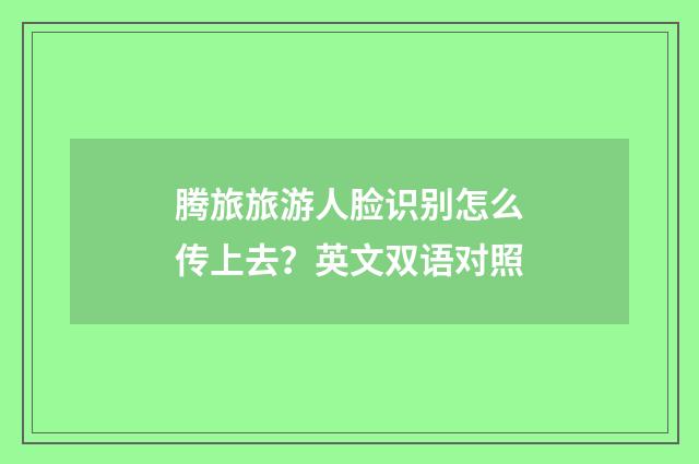 腾旅旅游人脸识别怎么传上去?英文双语对照