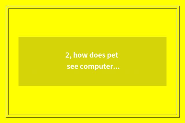 2, how does pet see computer edition do not play again and again?