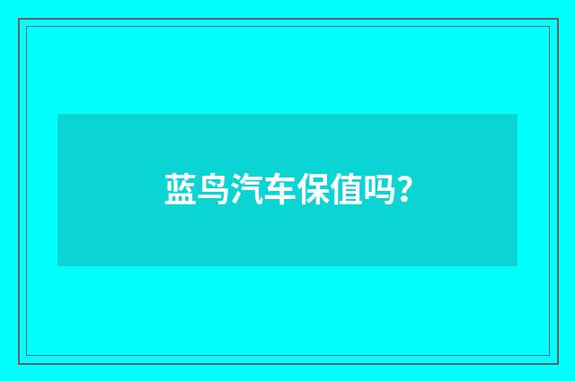 蓝鸟汽车保值吗?