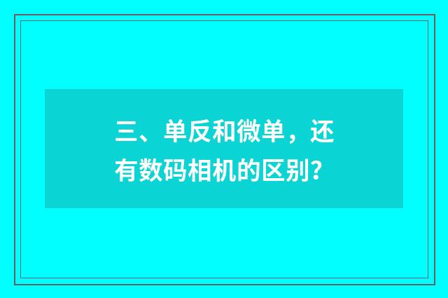 三、单反和微单,还有数码相机的区别?