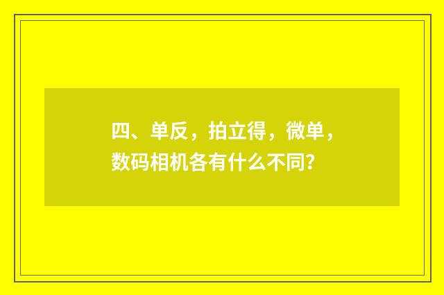 四、单反,拍立得,微单,数码相机各有什么不同?