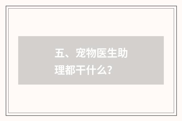 五、宠物医生助理都干什么?
