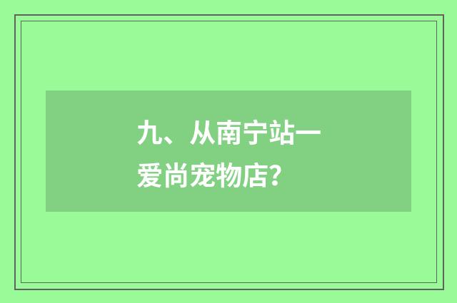 九、从南宁站一爱尚宠物店?