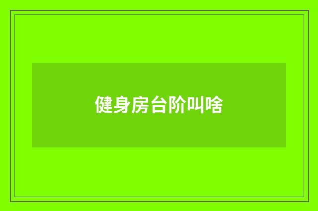 健身房台阶叫啥