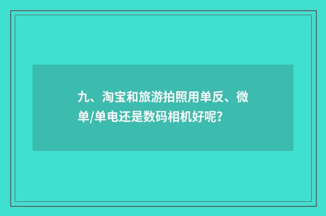 九、淘宝和旅游拍照用单反、微单/单电还是数码相机好呢?