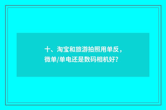 十、淘宝和旅游拍照用单反，微单/单电还是数码相机好？