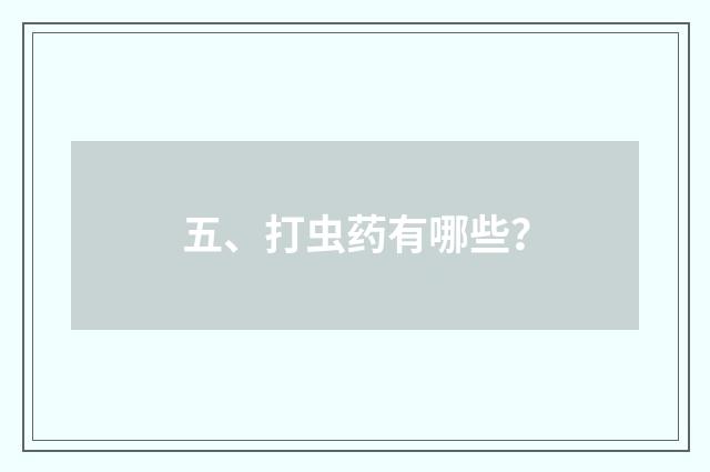 五、打虫药有哪些?