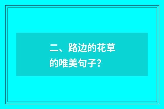 二、路边的花草的唯美句子?
