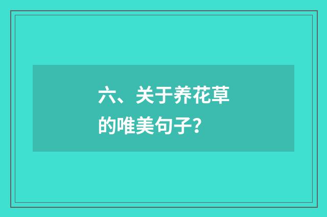 六、关于养花草的唯美句子?