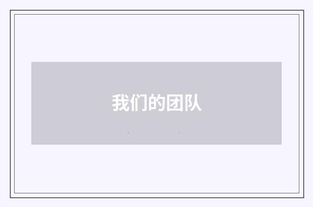 我们的团队