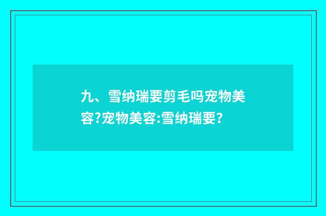 九、雪纳瑞要剪毛吗宠物美容?宠物美容:雪纳瑞要？