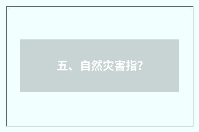 五、自然灾害指？