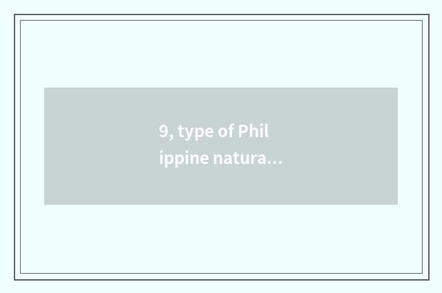 9, type of Philippine natural disaster?