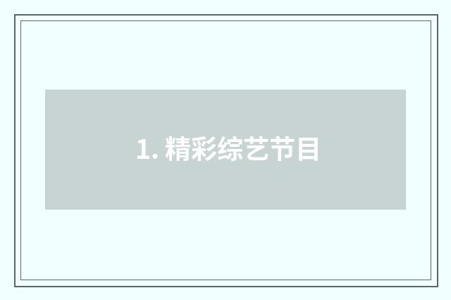 1. 精彩综艺节目