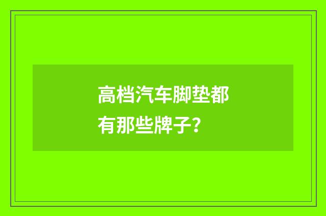 高档汽车脚垫都有那些牌子?