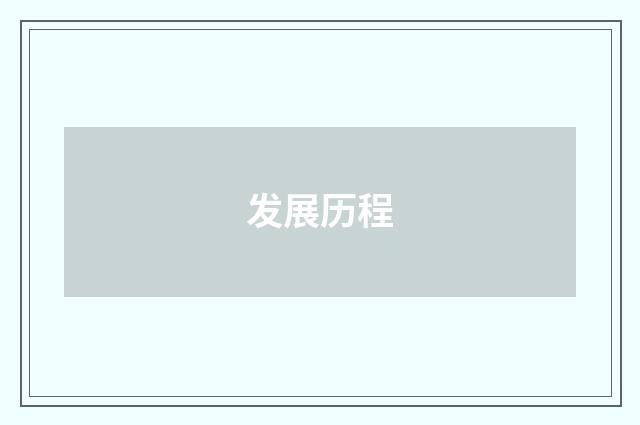 发展历程