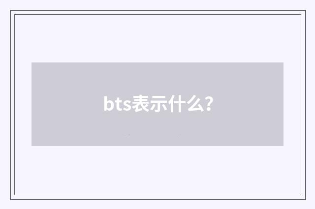 bts表示什么?