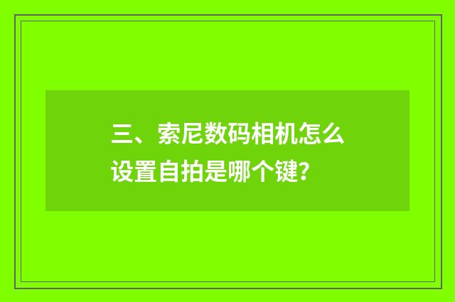 三、索尼数码相机怎么设置自拍是哪个键？