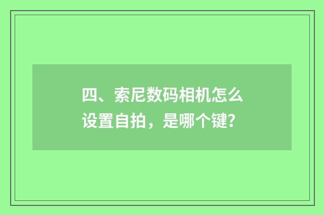 四、索尼数码相机怎么设置自拍,是哪个键?