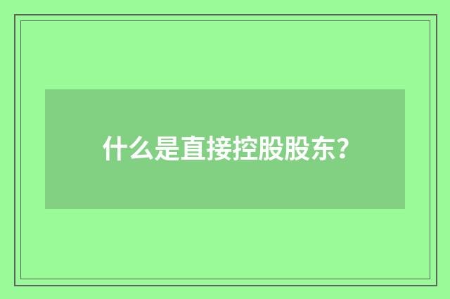 什么是直接控股股东?
