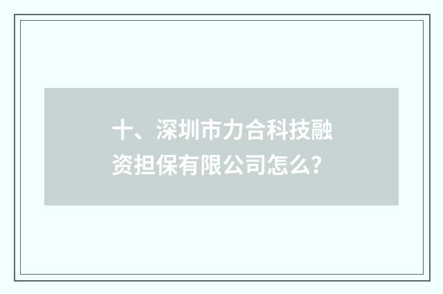 十、深圳市力合科技融资担保有限公司怎么?