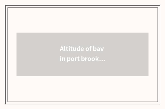 Altitude of bavin port brook?