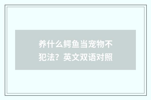 养什么鳄鱼当宠物不犯法?英文双语对照