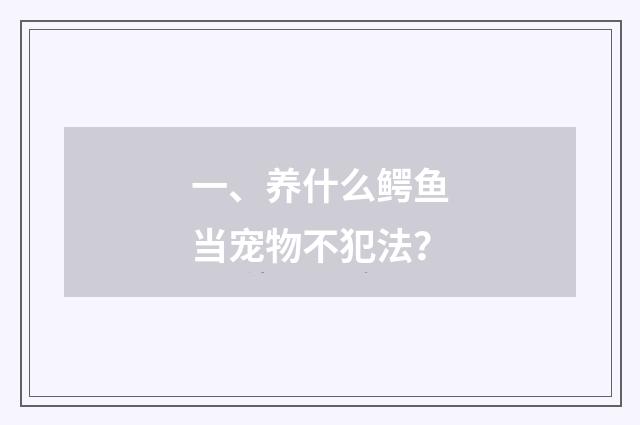 一、养什么鳄鱼当宠物不犯法?