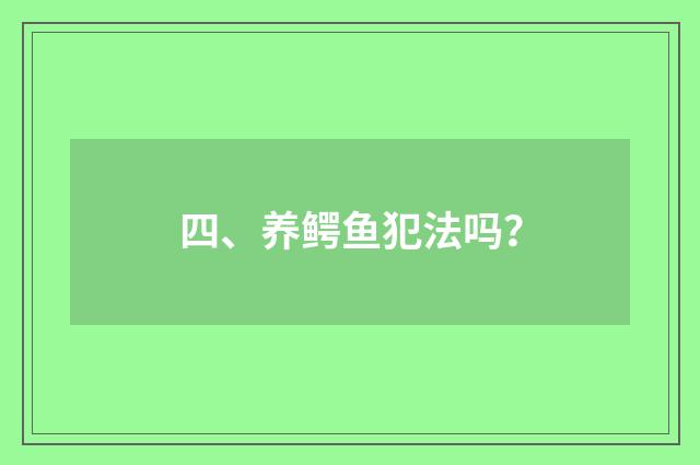 四、养鳄鱼犯法吗?