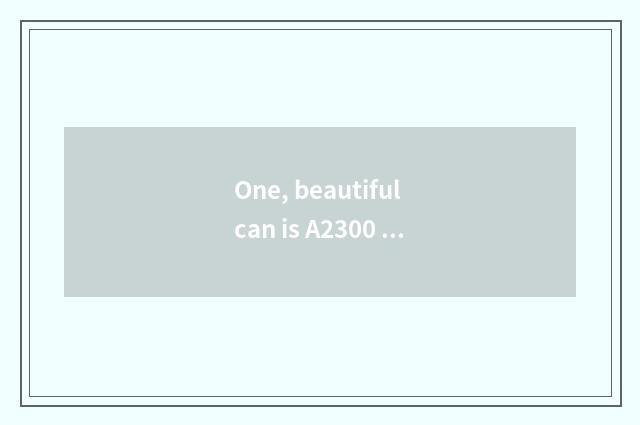 One, beautiful can is A2300 number camera used?