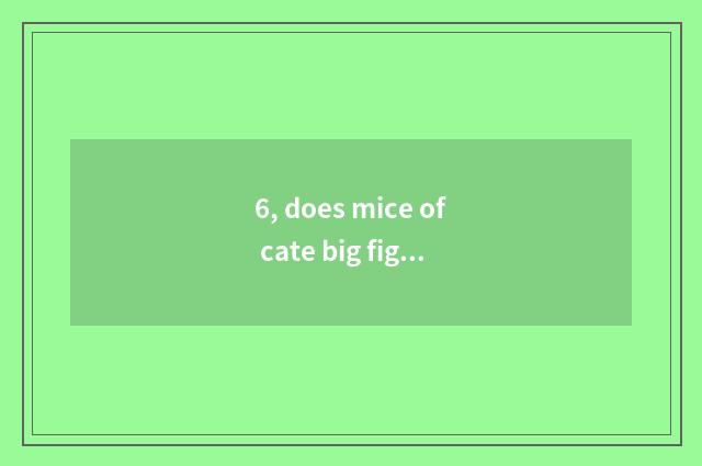 6, does mice of cate big fight synthesize skill?