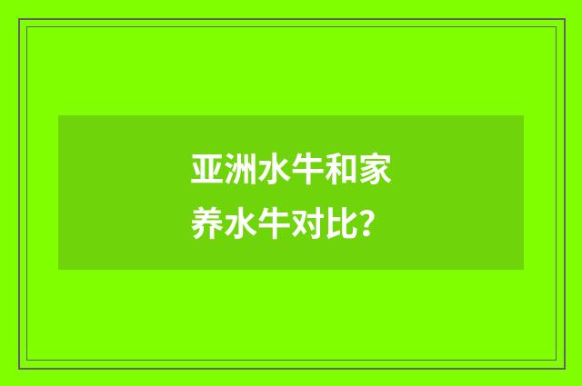 亚洲水牛和家养水牛对比？