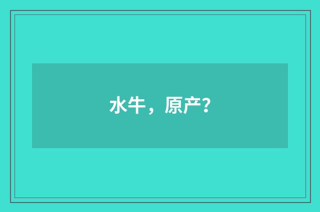 水牛，原产？