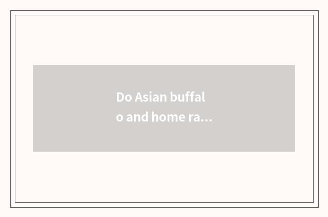 Do Asian buffalo and home raise buffalo contrast?