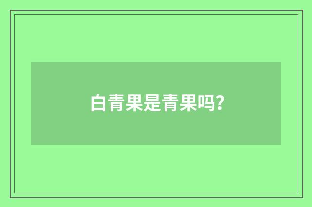 白青果是青果吗?