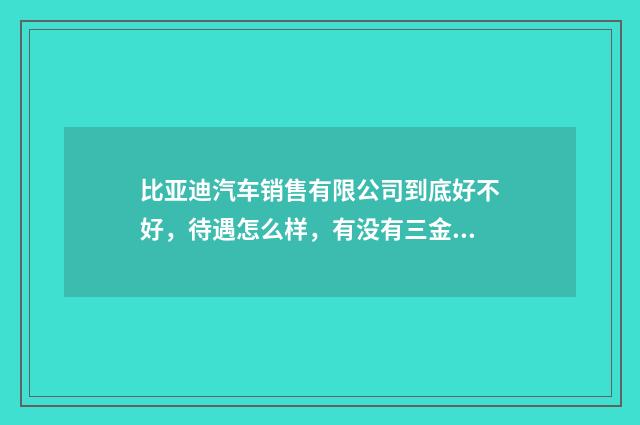 比亚迪汽车销售有限公司到底好不好,待遇怎么样,有没有三金或五金?拜托了各位,谢谢?