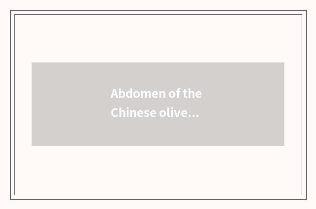 Abdomen of the Chinese olive pig that stew + how much should Chinese olive put?
