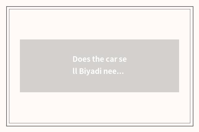 Does the car sell Biyadi need check-up?