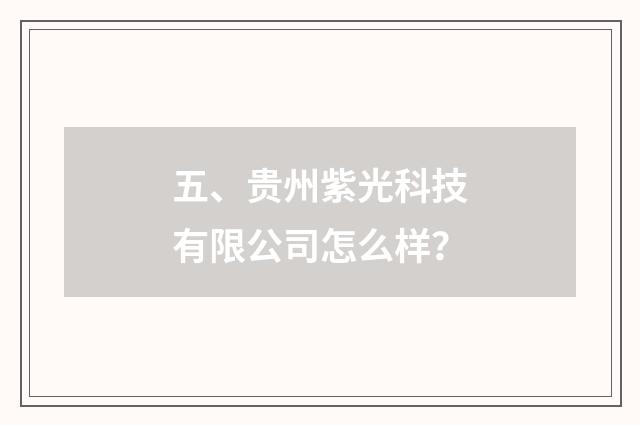 五、贵州紫光科技有限公司怎么样？
