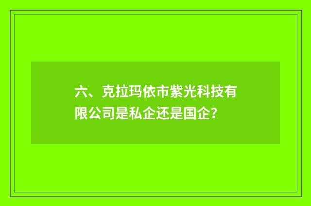 六、克拉玛依市紫光科技有限公司是私企还是国企?