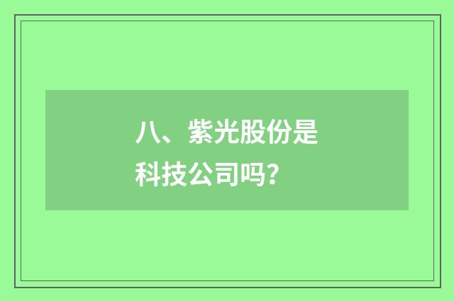 八、紫光股份是科技公司吗?
