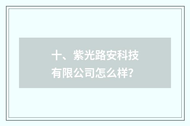 十、紫光路安科技有限公司怎么样?