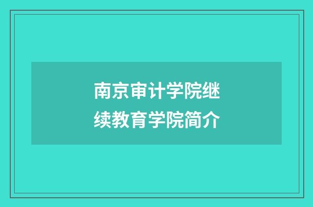 南京审计学院继续教育学院简介