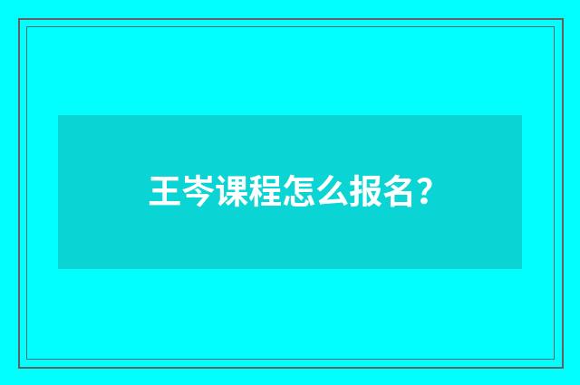 王岑课程怎么报名?