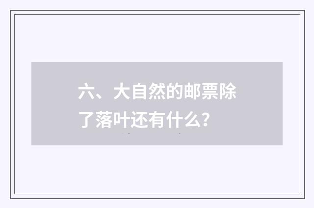 六、大自然的邮票除了落叶还有什么？
