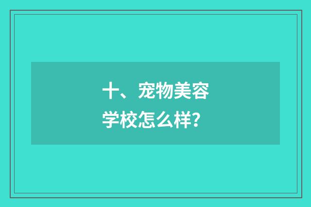 十、宠物美容学校怎么样?