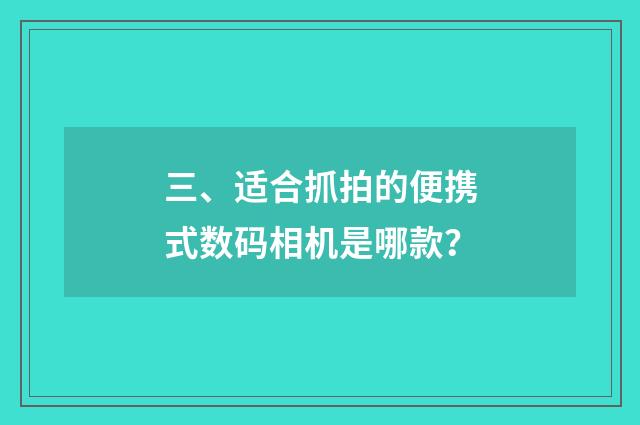 三、适合抓拍的便携式数码相机是哪款？