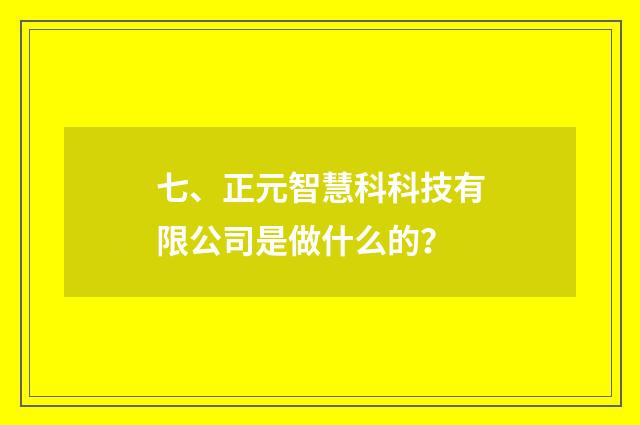 七、正元智慧科科技有限公司是做什么的？